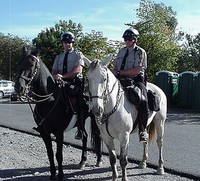 mounted_psp.jpg