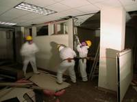 Item 94784