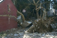09-19-01_St_Pauls_Graveyard_with_Uprooted_Tree.JPG
